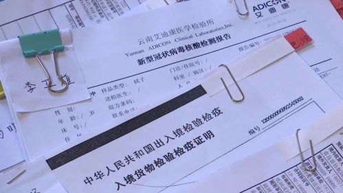从业与防疫 探访“一刀切”之困与商户共鸣