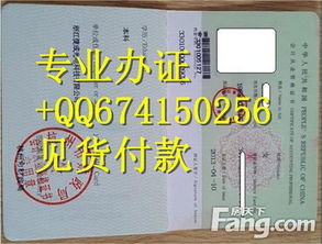 会计从业资格与服务外包 票据中介服务的合规新路径
